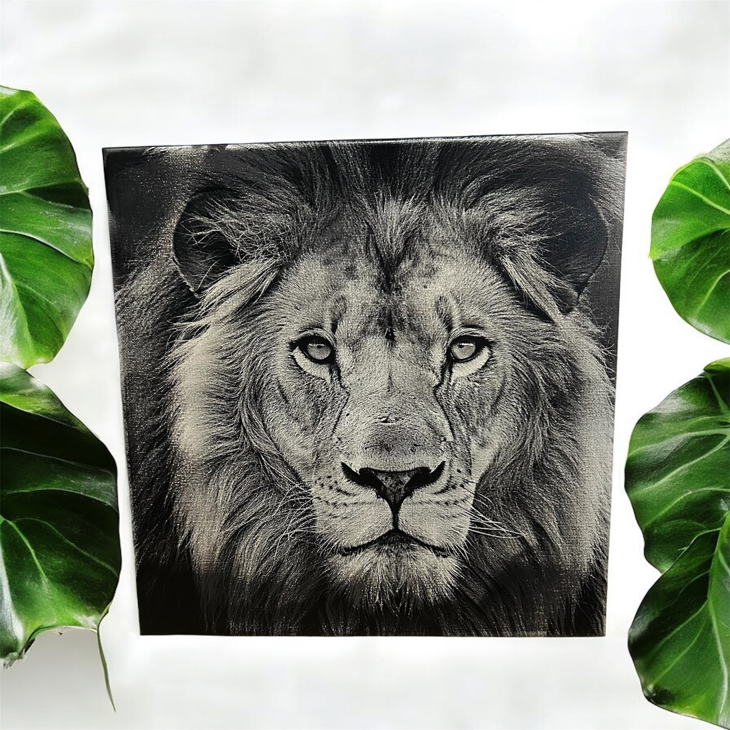 Lion Canvas Art